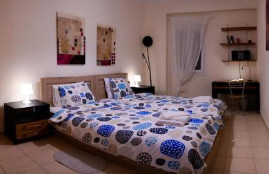 Patras Palm Tree - Foto 5