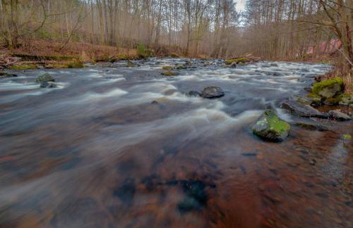 Gemütliches Blockhaus im Harz - Foto 4