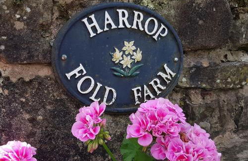 Stone Mouse Cottage - Foto 15