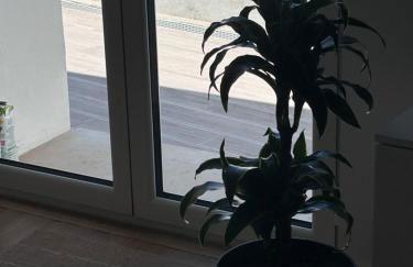 Casas Morgado - Foto 14