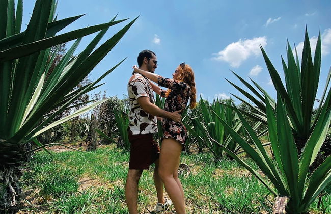 HOTEL BOUTIQUE EL FIQUE - Photo 5