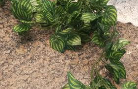 Esmeralda engenharia - Photo 1