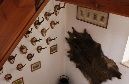 Altes Forsthaus - Foto 30