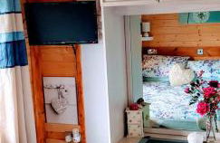 Enlli Fach cabin sleep's 2 adults and 2 children 2 dogs welcome not suitable for contract workers due to parking height restrictions - Photo 45