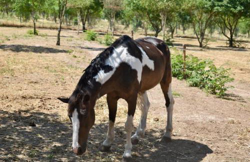 Il Borgo delle Pampare - Foto 71