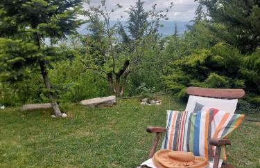 Ipati Forest Chalet - Foto 37