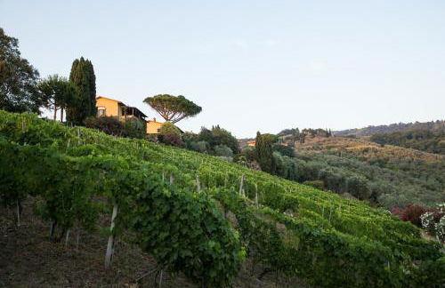 Casa Vacanze Casa Italia - Foto 50