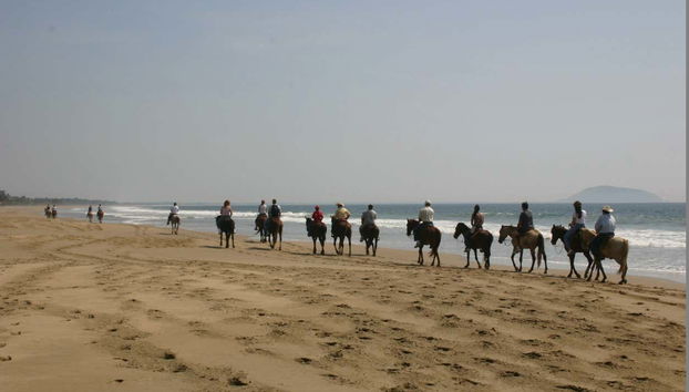 Make the most of your visit!