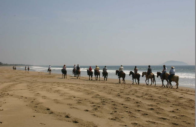 Ixtapa Zihuatanejo Horse Riding - Foto 4