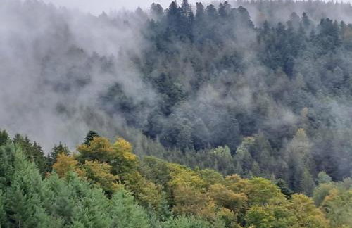 Ferienwohnung Leibgeding - Foto 10