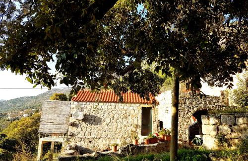 Cottage Melita the Apartment for Animal Lovers - Foto 9