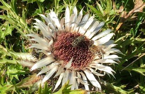 Ferienwohnung Alpensymphonie mit 110 m2 und sonnigem Balkon - Photo 6