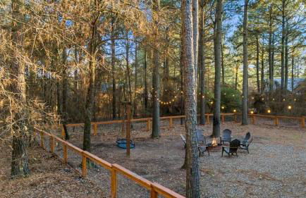 Came Here to Forget Cabin - Foto 52