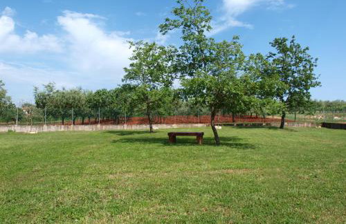 Holiday Home Rosa - Foto 4