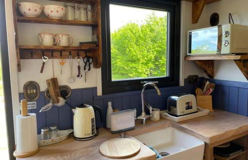 Pembrokeshire Shepherd hut with hottub - Foto 19