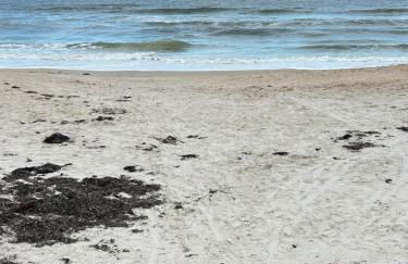 Seashell Escape - Foto 61