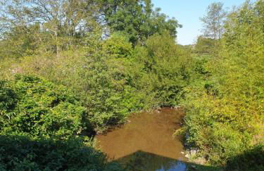 Le Gîte au bord de la Forêt - Foto 34