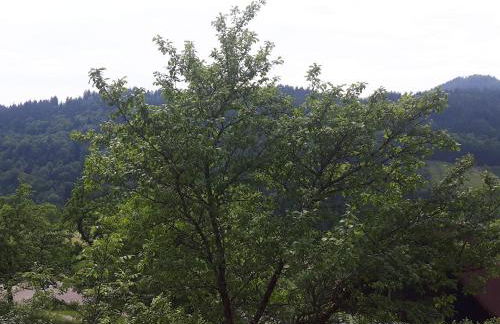 Ferienhof Fischer - Foto 15