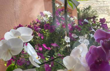 POLE POLE beautiful villa in Mati - Foto 47