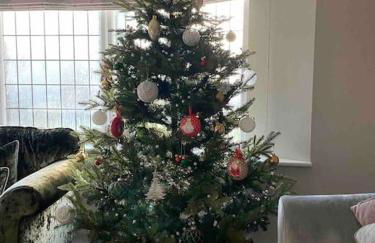 Home by the Sea in Rustington - Foto 14