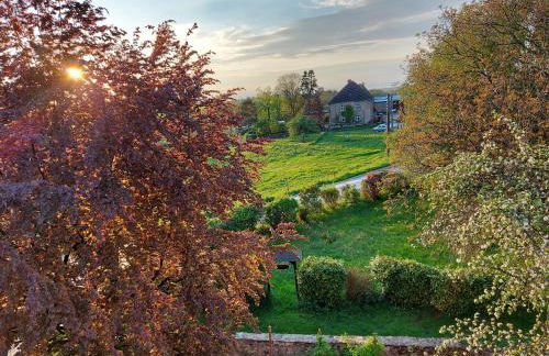 Roter Milan - Foto 14