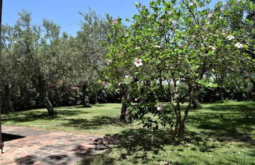 Case Vacanze Le Muse - Foto 25