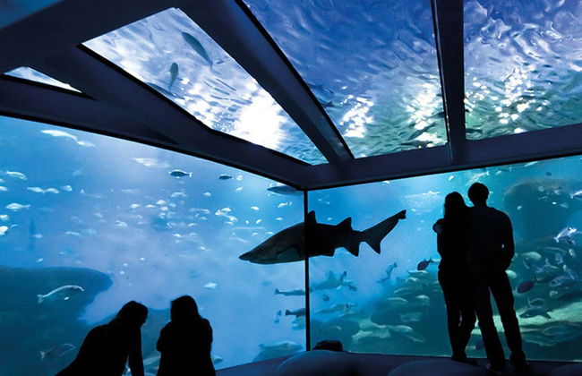 Entrada a Palma Aquarium - Foto 2