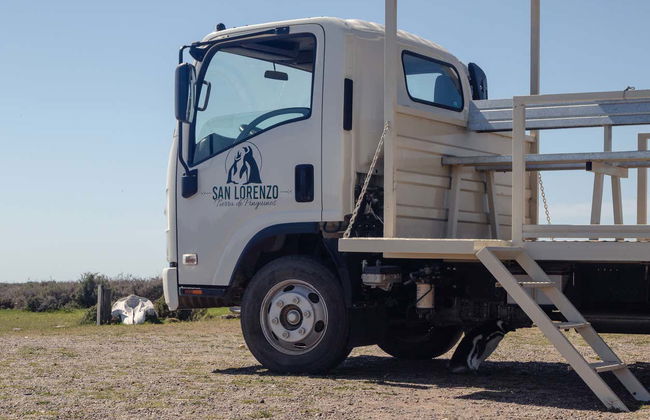 Estancia San Lorenzo Trip & Whale Watching - Foto 6