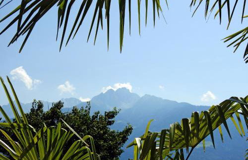 Platterhof - Foto 10