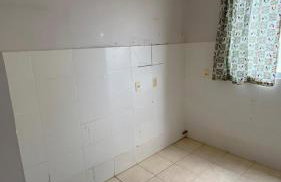 Orquídea de Maria - Photo 6