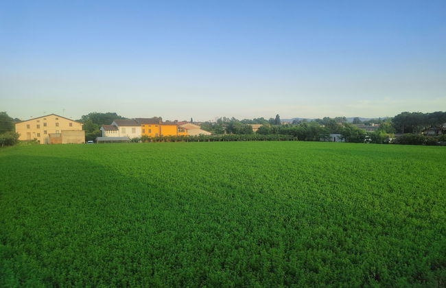 Lavanda House - Photo 12