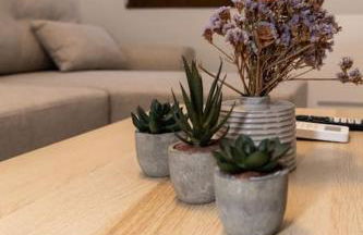 Το Σπίτι της Γιαγιάς 1 (Grandma's House 1) - Photo 28