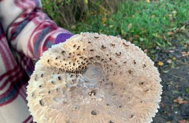 Rosehill Cottage 1699 - Stilvolles Hideaway, Berge & See - Photo 47