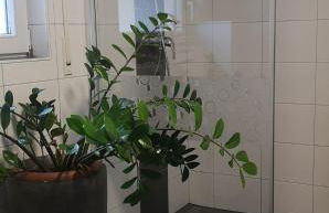 Niederwald - Foto 26