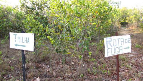 Hotel Fazenda Arara Azul - Foto 5
