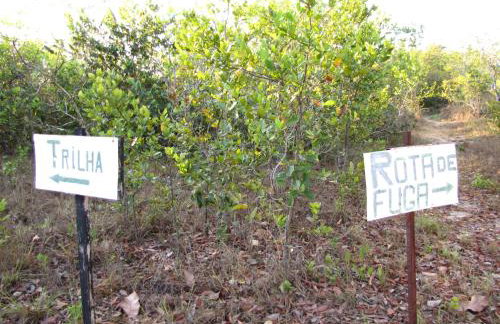 Hotel Fazenda Arara Azul - Foto 5