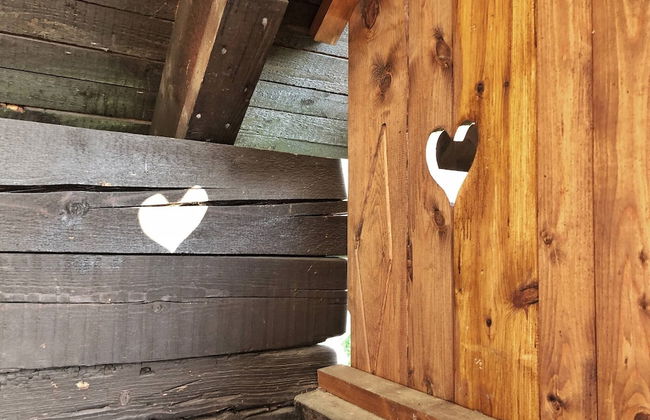 Alma Apartment in Sonnleitn Am Nassfeld at 1484m - Photo 20