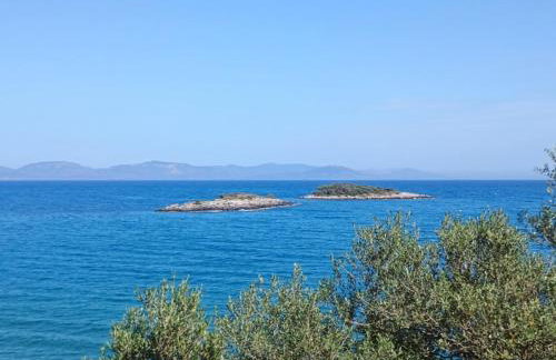 Joanna's House - Foto 25