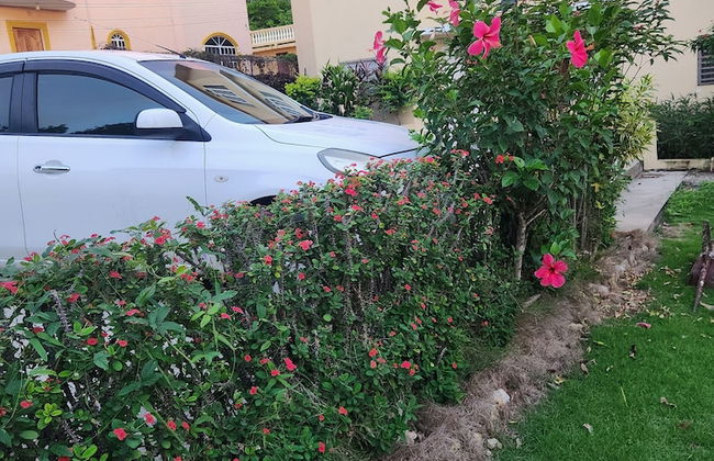 Apartment 379 Hudson Avenue - Foto 16