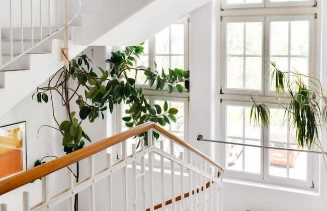 WHLIVING - Apartments & Studios - Photo 11