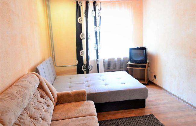 Megapolis Apartments on Moskovsky prospect 112 – apt 547 - Photo 3