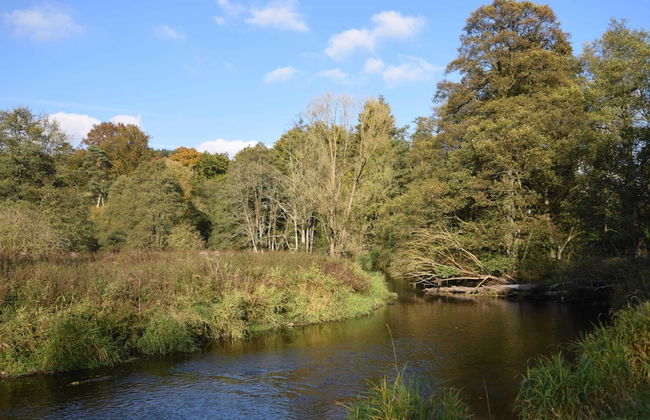 Family Home in Sainte ode - Photo 39