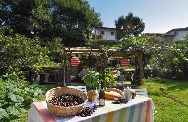 Petit Jardin - Foto 24