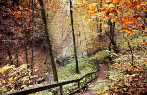 UplandParcs Haus Bergsicht - Photo 46