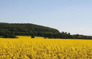Ferienwohnung Hellmann - Foto 29