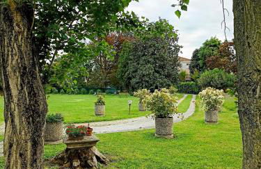 Villa Olanda - Photo 28