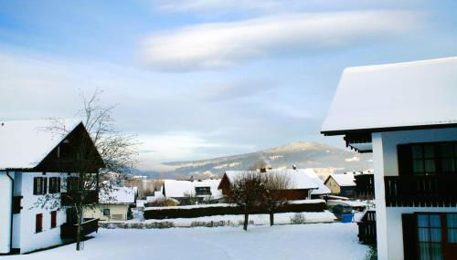 STYLE Studio im Bayerischen Wald POOL SAUNA NETFLIX - Foto 4