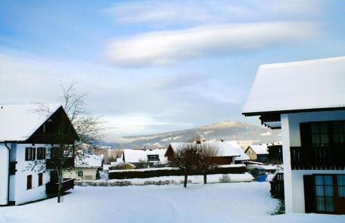 STYLE Studio im Bayerischen Wald POOL SAUNA NETFLIX - Foto 4