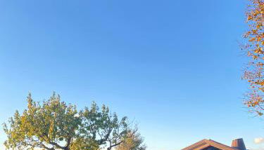 Corte D'Aibo - Photo 5