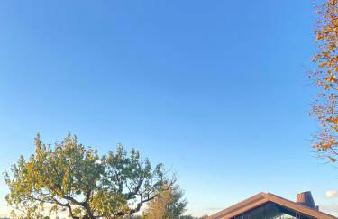 Corte D'Aibo - Photo 5